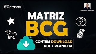Matriz BCG: o que é? Como funciona a Matriz BCG?
