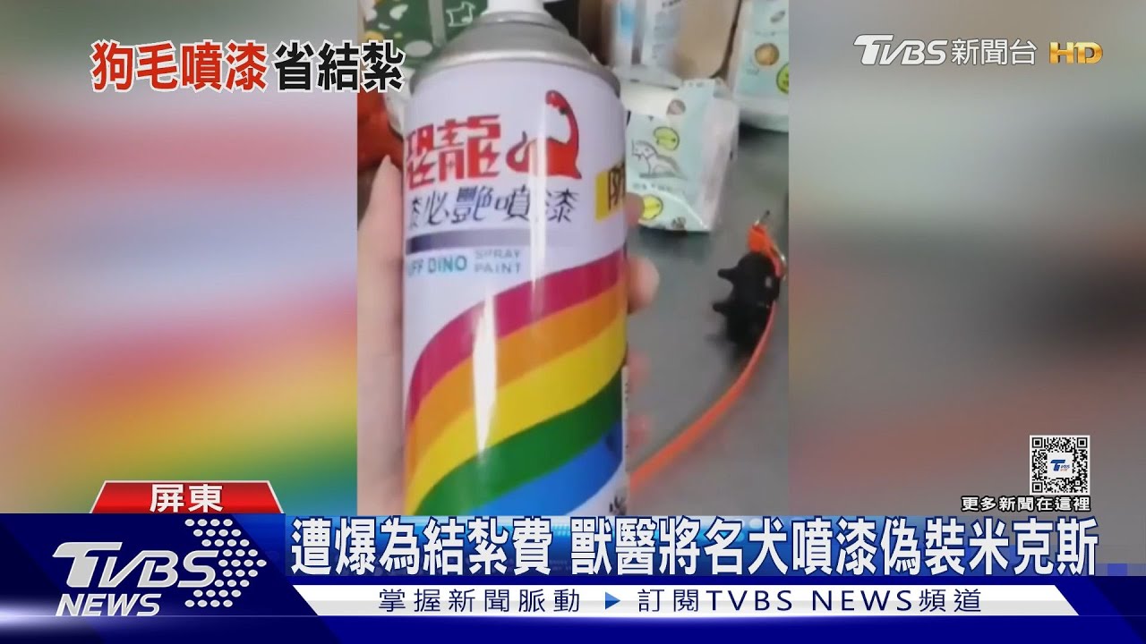太狠了!遭爆為免費結紮 獸醫將邊境犬噴漆成米克斯