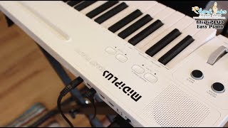 Video thumbnail for ทดสอบ Midiplus Easy Piano เล่นเสียงแบบ Music Box by CT Music Shop / Chordtabs