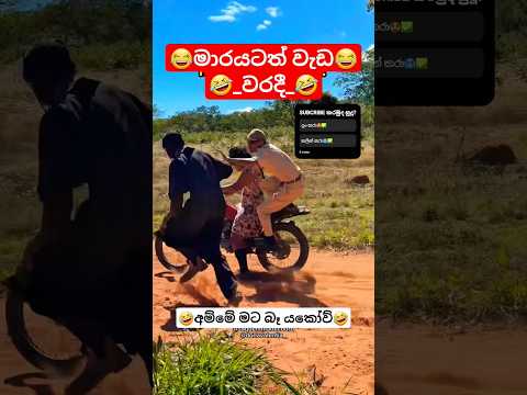 මාරයත් කොර🤣✅ #bike #bikelife #bikelover #highcapacity