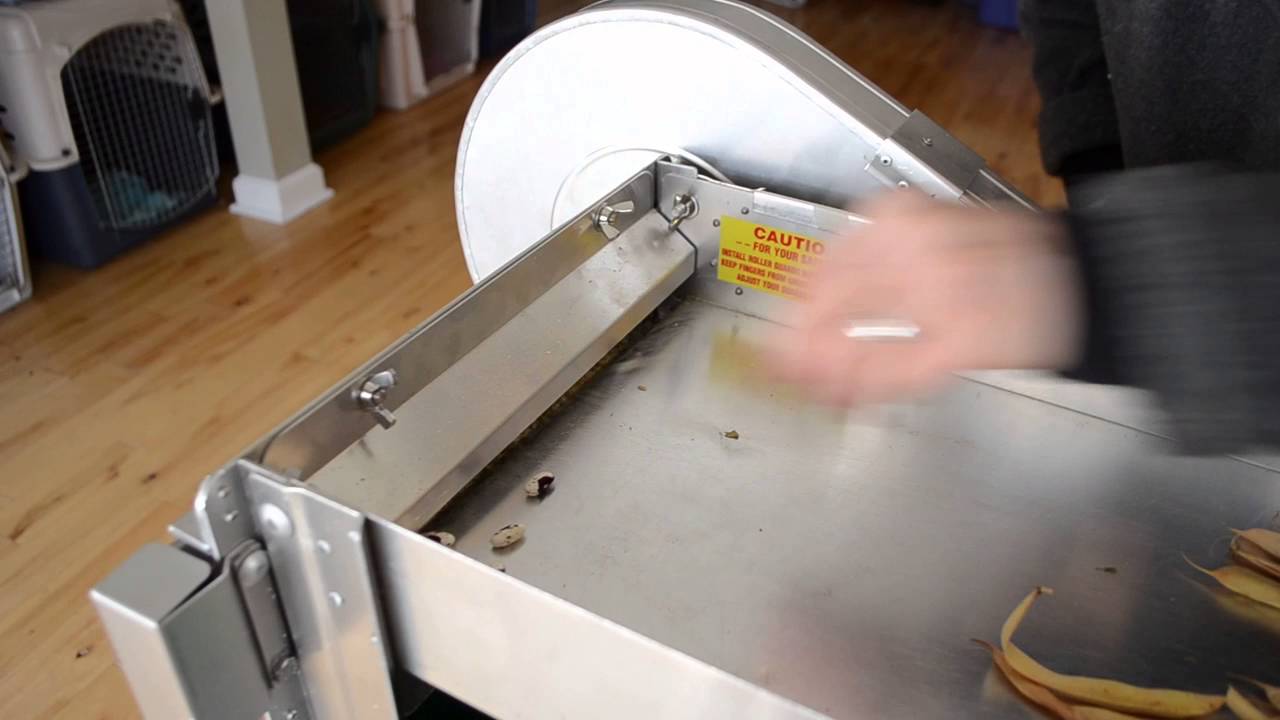 Taylor Pea Sheller Doing Dry Beans