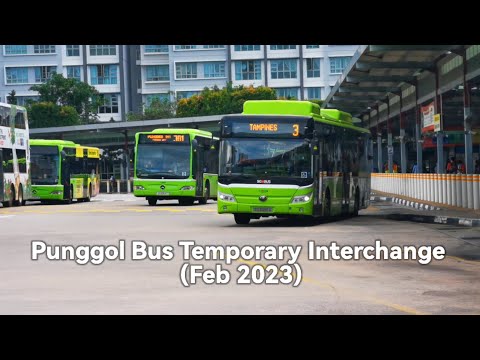 Punggol Bus Temporary Interchange (Feb 2023)