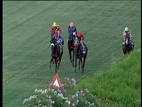 Galoppo 03/08/2019 - 3ª corsa