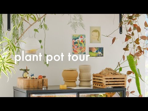 Plant Pot Tour | my ceramics collection