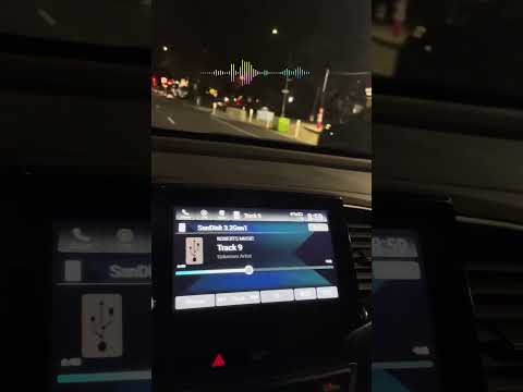 Popuri // New York // Sergey // Roshel Rubinov// 2025