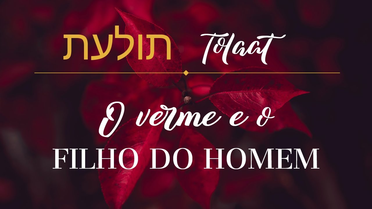 Tolaat (Carmesim) | O verme e o Filho do Homem