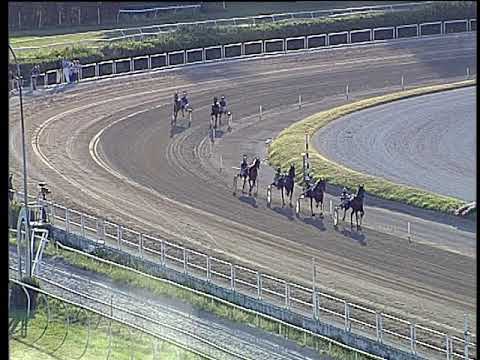 Trotto 30/06/2019 - 1ª prova di qualifica