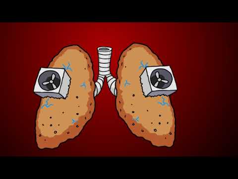 Varkentje Rund 142: medisch illustrator