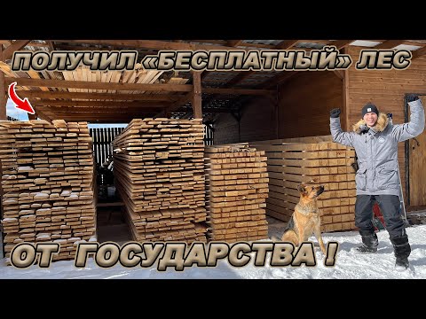 БЕСПЛАТНЫЙ ЛЕС ОТ ГОСУДАРСТВА! КАК ПОЛУЧИТЬ? ЛИЧНЫЙ ОПЫТ!