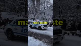É PROIBIDO JOGAR BOLAS DE NEVE NA POLÍCIA NOS EUA? ❄️🚔 #shorts #curiosidades