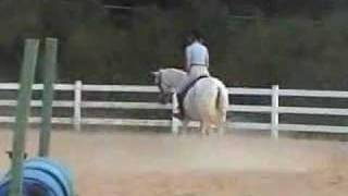 Silver Sage: flatwork (1 month later)
