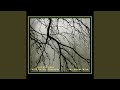 Saber Cair / Knowing How to Fall (feat. Bernie Senensky)