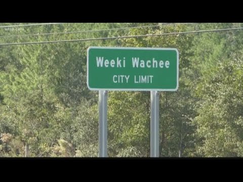 Hernando County takes a big step toward absorbing Weeki Wachi