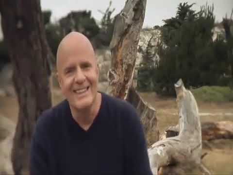 Dd ambicije ka svrsi - Dr. Vejn Dajer (Bolji kvalitet)