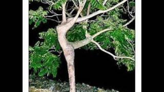 Lucio Battisti - Don Giovanni