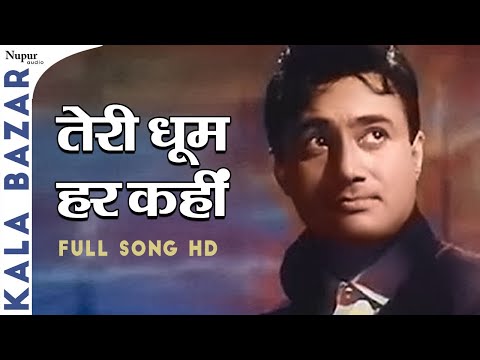 Teri Dhoom Har Kahi | Mohammed Rafi | Dev Anand | Classic Hindi Song | Kala Bazar 1960 Songs
