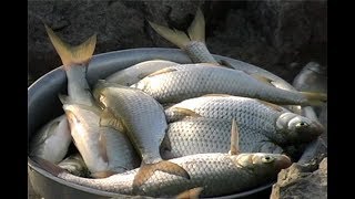 Ссылка