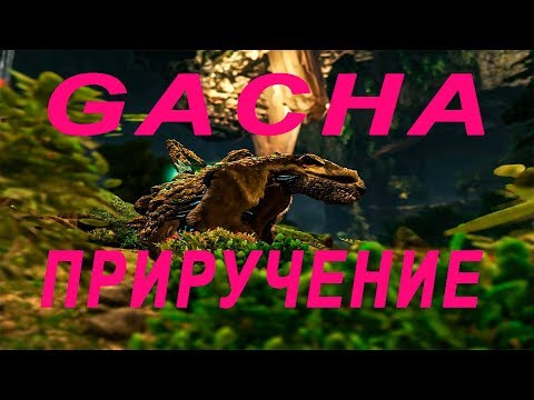 ПРИРУЧЕНИЕ ГАЧА(GACHA) В ARK EXTINCTION.СПОСОБНОСТИ И ОСОБЕННОСТИ