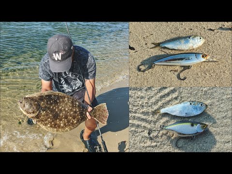 PB Fluke on a CRANKBAIT - Matching the Hatch - Flounder Fishing from Shore