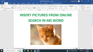 How to insert a picture in microsoft word from online search