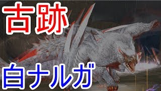 【MHF-ZZ】【速報】俺氏「樹海頂部との違いは？」新フィールド古跡で極みナルガクルガと激突！【モンハン】