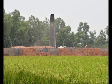 জয়পুরহাটে একটি ইটভাটার কারনে ব্যাপক ক্ষতি