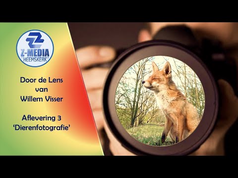 Door de Lens van Willem Visser - Aflevering  3: Dierenfotografie
