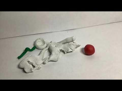 Metamorphosis: A Claymation Short Film