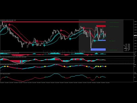 Video Scalping GOLD M5