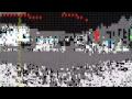 Marc Houle - Single Cell (Salamandarin EP) Minus 2009