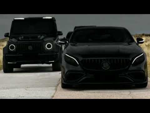 Corni Delfin (Car Music) Adam Maniac