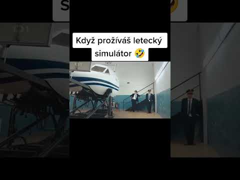 když prožíváš letecký simulátor #shorts #humor #comedy