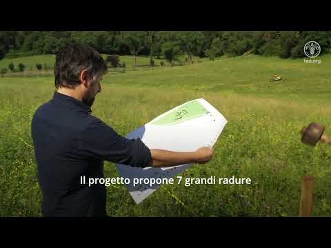 Inaugurazione del percorso educativo del FAO Park