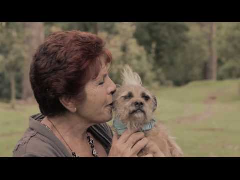 FOLKLORETA Video Clip Oficial - Hoy Cantaré (Canción de los perritos)