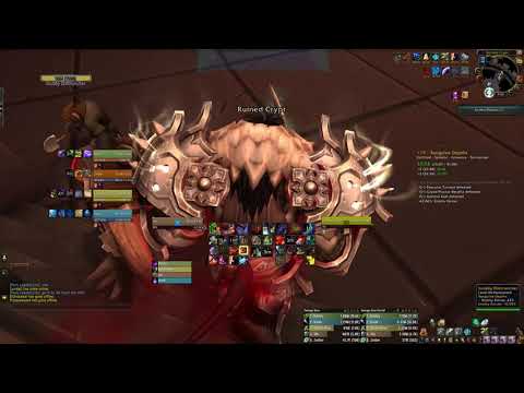 19+ SD Night Fae Prot Warrior Fortified Grievous