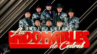 Los Indomables De Cedral - Con Rumbo Al Sur - Todos Quieren Esa Prieta - La Trakala 🎶
