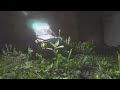 Night Drive In The Safari Feat TRX 4 Defender