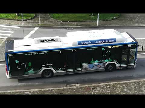 STCP 3314 (audio recording - collab)