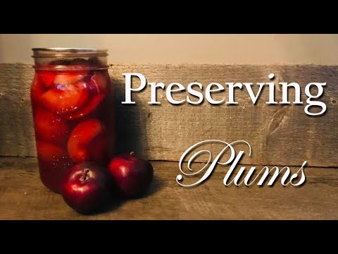 Canning Spiced Plums ~ Preserving Plums ~ Food Storage