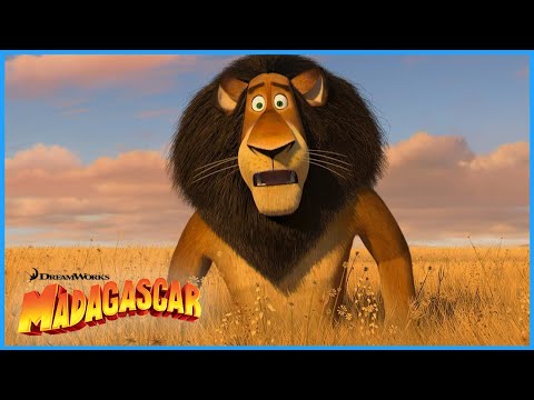 Baby Alex Gets Lost! 😱 | CLIP | Madagascar Escape 2 Africa (2008) | DreamWorks Madagascar