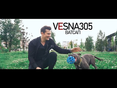 VESNA305 - ВАТСАП (клип)