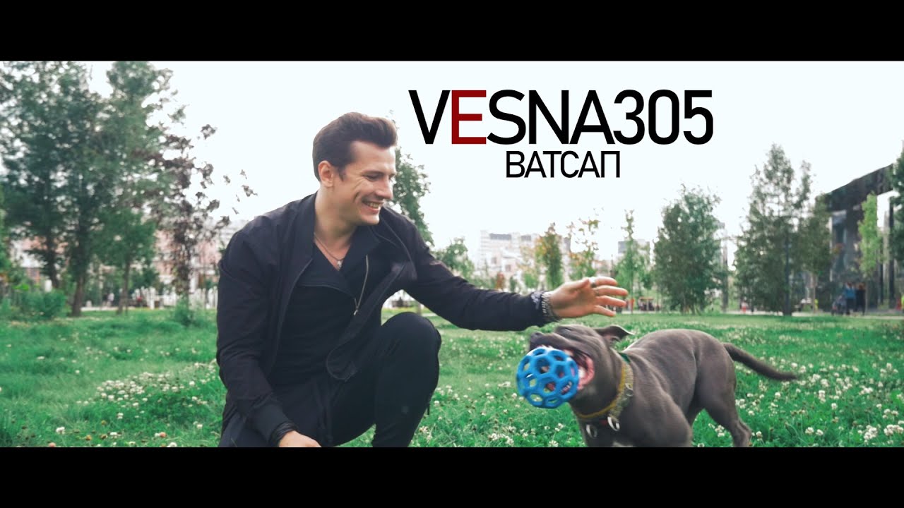 VESNA305 — Ватсап