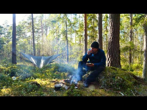 5-tägiger Bushcraft- und Survival-Trip im Regen – Leben vom Land