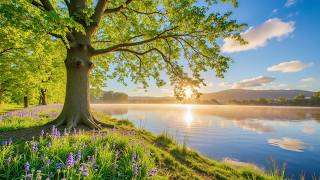 August Peaceful Melody, Beautiful Relaxing Music, Soothing Instrumental Music, by Love YourSelf