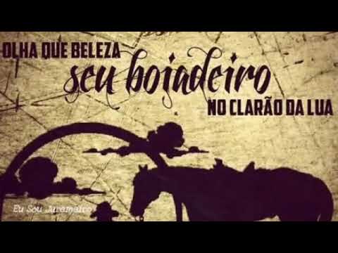 SAUDAÇÃO AOS BOIADEIROS (Parte 2)