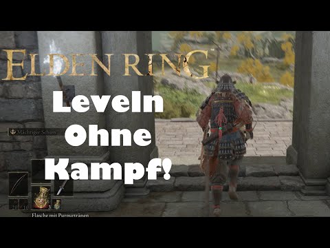 LVL 1 EASY LEVELN OHNE KAMPF - 50K RUNEN ALLE 4 MINUTEN GENAUER WEG + BESCHREIBUNG - ELDEN RING