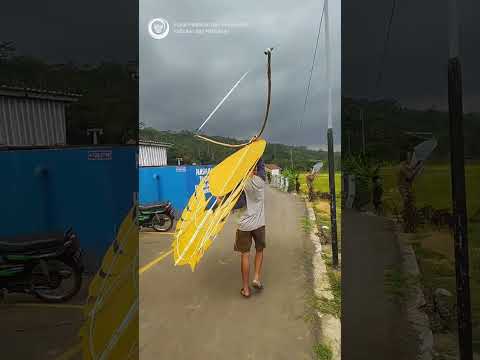 Bermain Layang-layang di Kawasan Mina Padi Smart Fisheries Village Panembangan