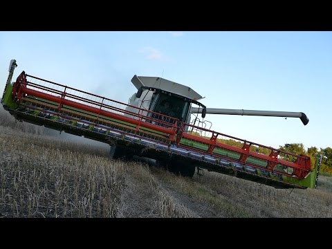 Claas Lexion 770 Terra-Trac | John Deere 7920 & 8100 | Canola Harvest | Christiansminde Multisite