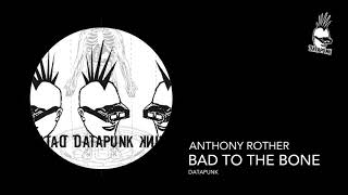 Anthony Rother - Bad To The Bone