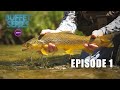 Sight Fishing the Green River - Ep.1 Season 3 Buffet Series - Fly Fishing Adventure Film!